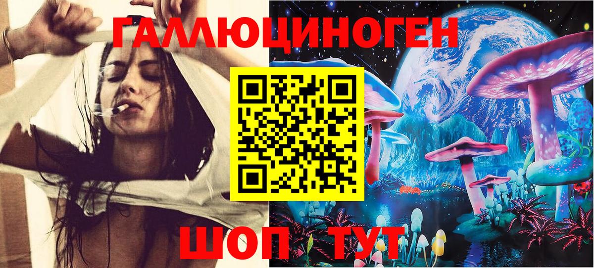 Галлюциногенные грибы прущие грибы  Вход с VPN  Гатчина 